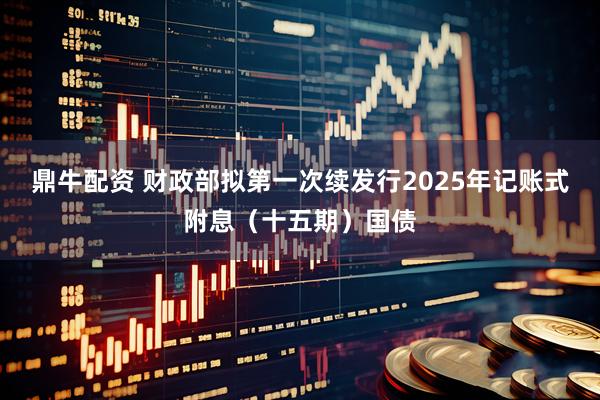 鼎牛配资 财政部拟第一次续发行2025年记账式附息（十五期）国债