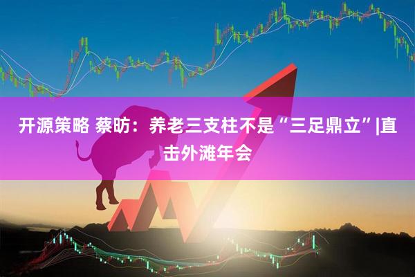 开源策略 蔡昉：养老三支柱不是“三足鼎立”|直击外滩年会