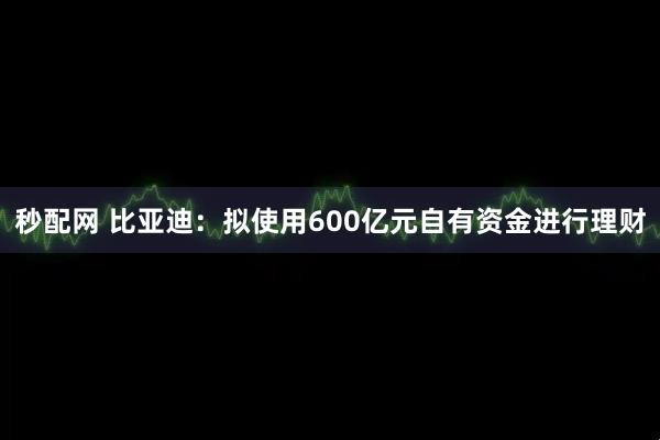 秒配网 比亚迪：拟使用600亿元自有资金进行理财